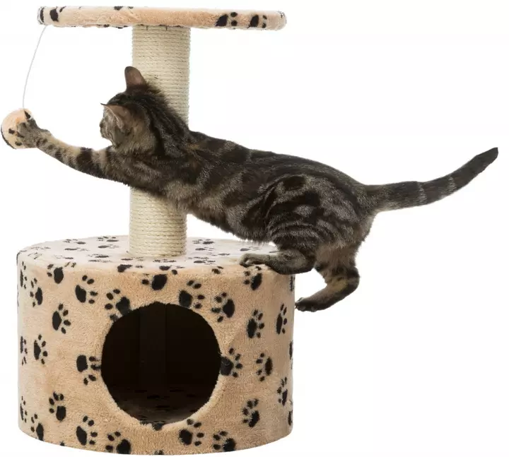 Trixie Junior Toledo Scratching Post for Cats Beige Trixie Junior Toledo Scratching Post For Cats Beige -Royal Canin Store trixie junior toledo scratching post for cats beige
