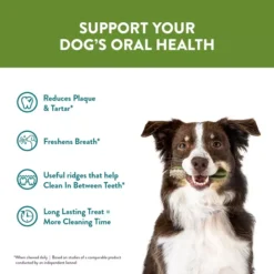 Whimzees Hedgehog Dental Dog Chew -Royal Canin Store whimzees hedgehog sm96.jpg