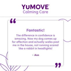 YuMOVE Calming Care One-a-Day For Dogs -Royal Canin Store yumove calming care oneaday for dogs ykey.jpg
