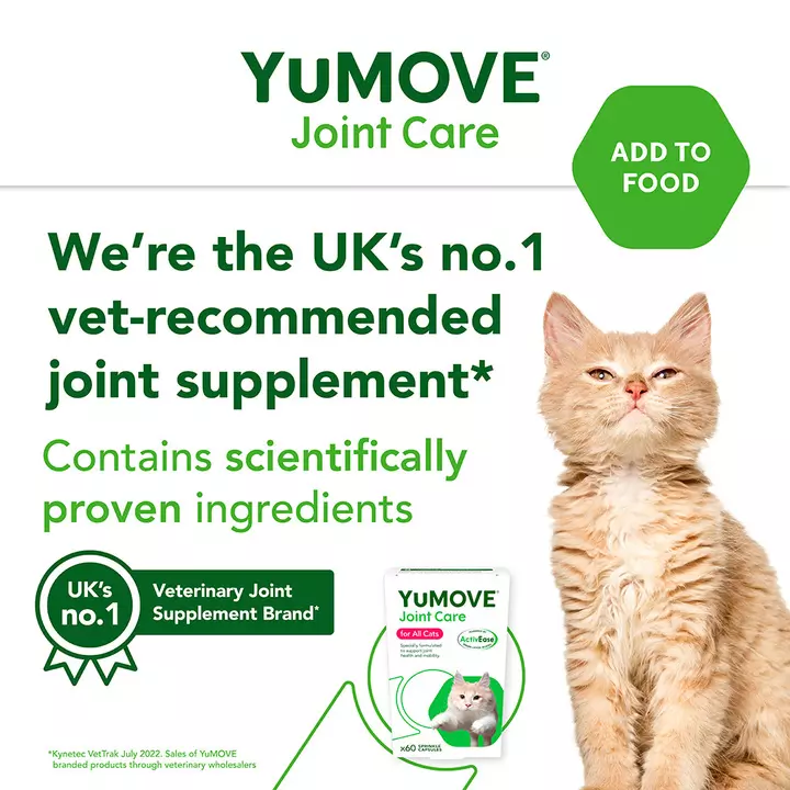 YuMOVE Joint Care for All Cats YuMOVE Joint Care For All Cats -Royal Canin Store yumove for cats 6dy6.jpg