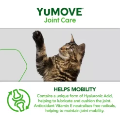 YuMOVE Joint Care For All Cats 7 YuMOVE Joint Care For All Cats -Royal Canin Store yumove for cats 9n5r.jpg