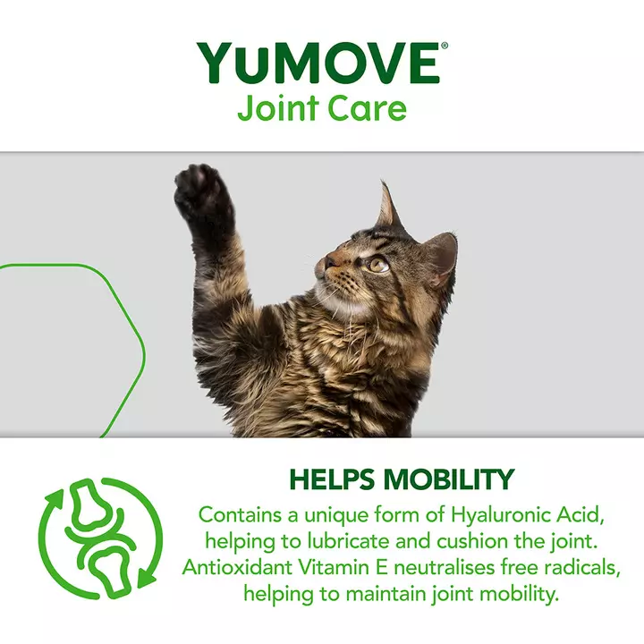 YuMOVE Joint Care for All Cats YuMOVE Joint Care For All Cats -Royal Canin Store yumove for cats 9n5r.jpg