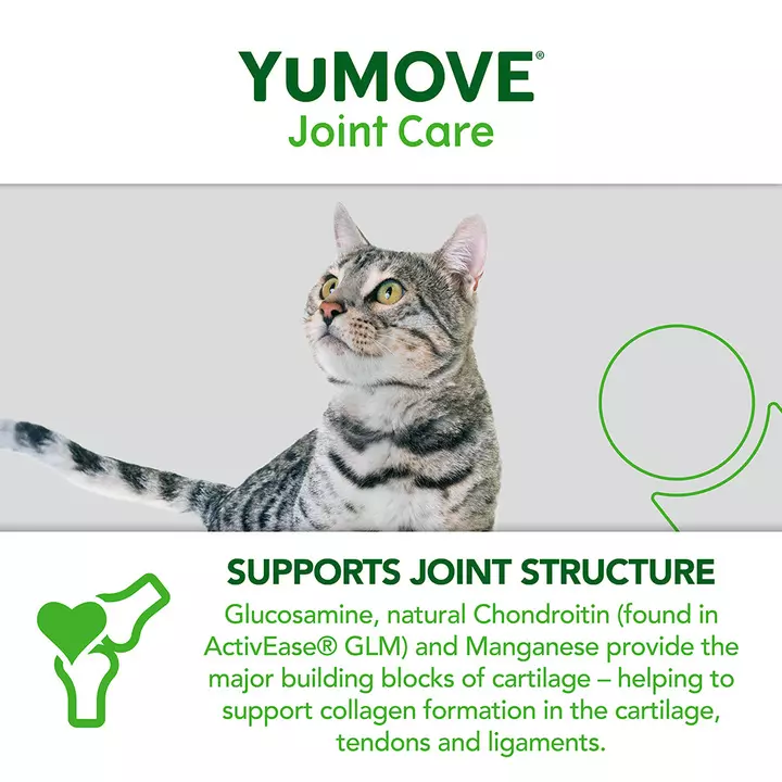 YuMOVE Joint Care for All Cats YuMOVE Joint Care For All Cats -Royal Canin Store yumove for cats ask1.jpg