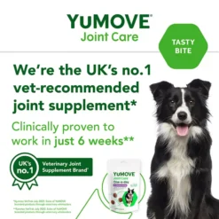 YuMOVE Joint Care One-a-Day For Dogs -Royal Canin Store yumove joint care oneaday for dogs ggp9.jpg